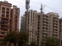 flat for rent in Faridabad